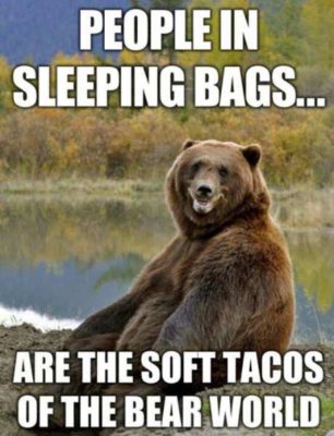 funny-bear-people-sleeping-bags-tacos