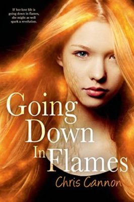 Going Down in Flames Review