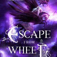 Escape from Wheel Book Blog Tour, Review, and #Giveaway #LoneStarLit